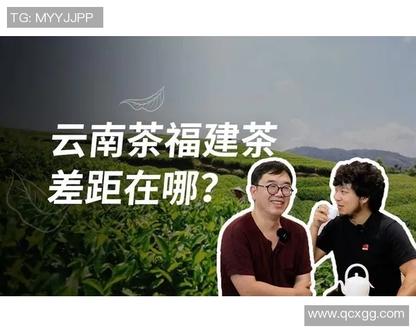 云南与福建的文化碰撞与经济发展之路探讨